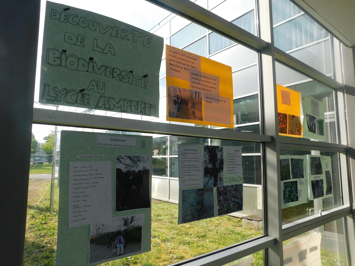 Exposition sur la biodiversité au lycée réalisée par les élèves de secondes CAP